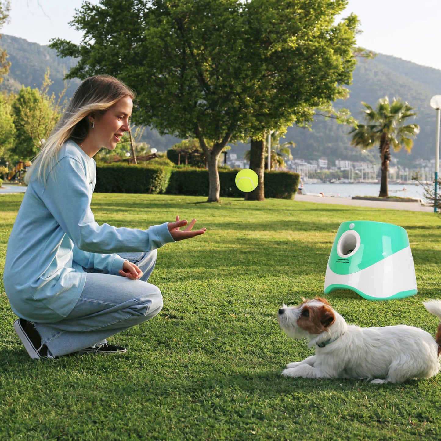 Automatic Dog Ball Launcher Included 6 Tennis Balls