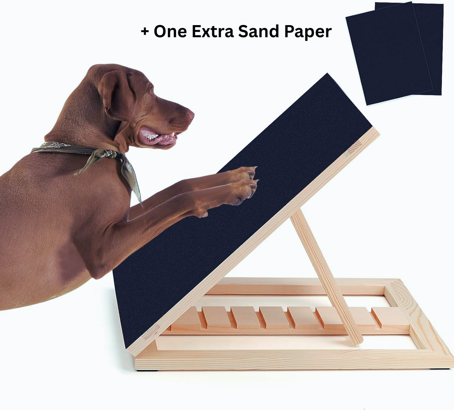 Dog Nail Grinder Board with Treat Box